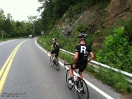 110904-goldenapple-04-wp